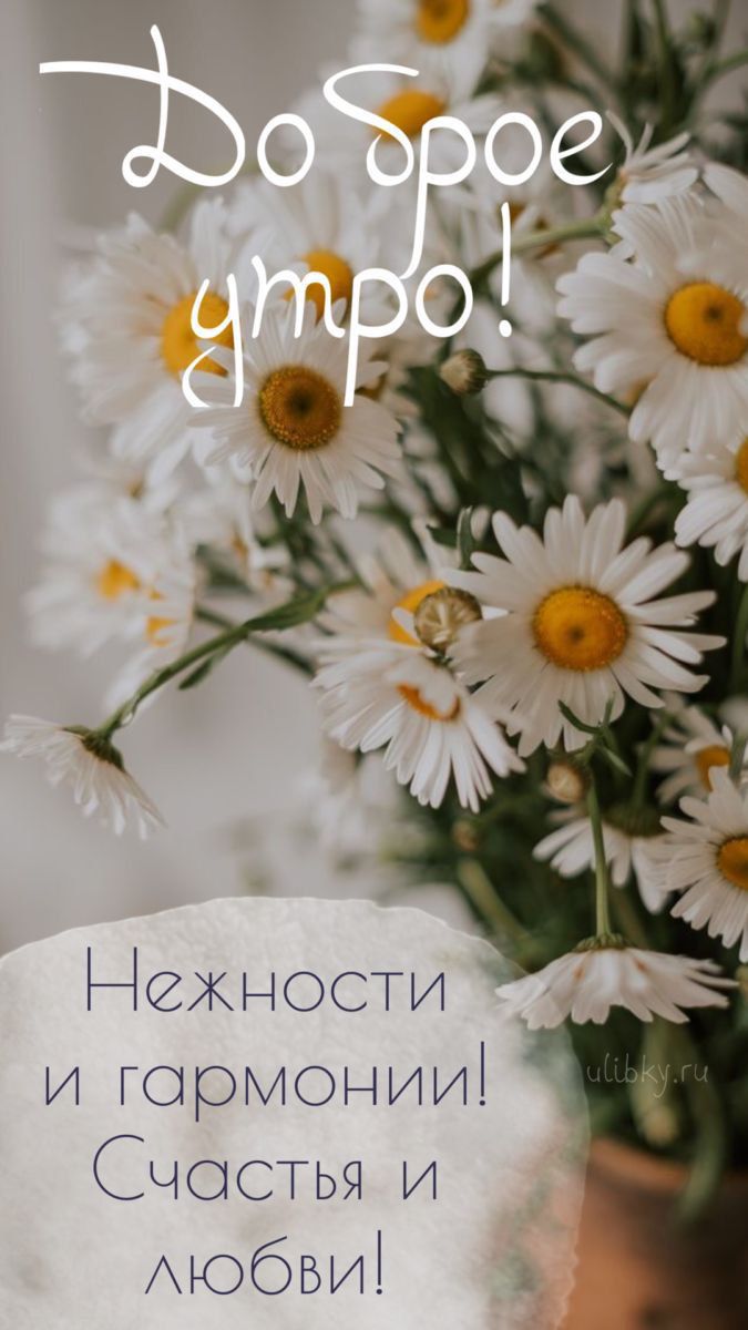 Доброе утро!
Нежности и гармонии! Счастья и любви!