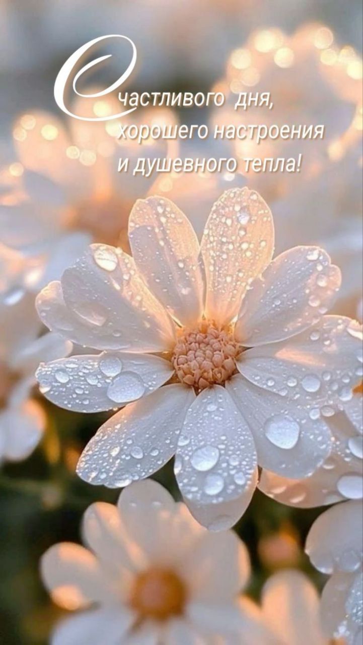 Счастливого дня, хорошего настроения и душевного тепла!