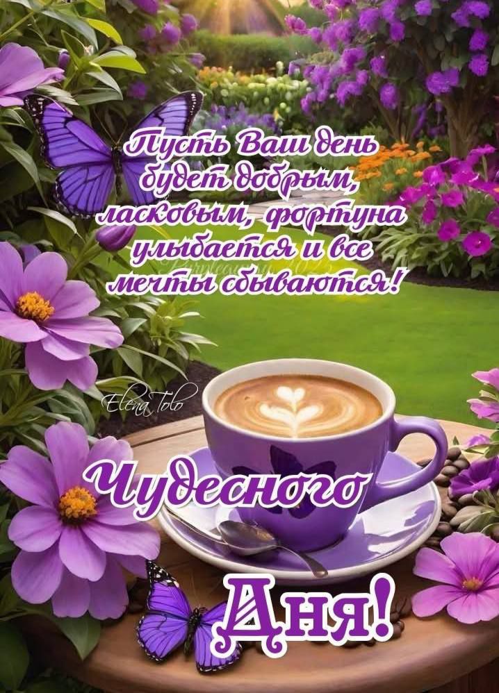 Пусть Ваш день будет добрым, ласковым, фортуна улыбается и все мечты сбываются! Чудесного Дня!