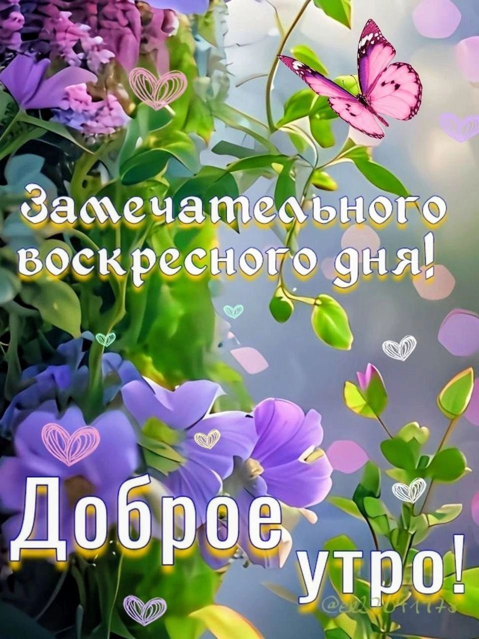 Замечательного воскресного дня! Доброе утро!
