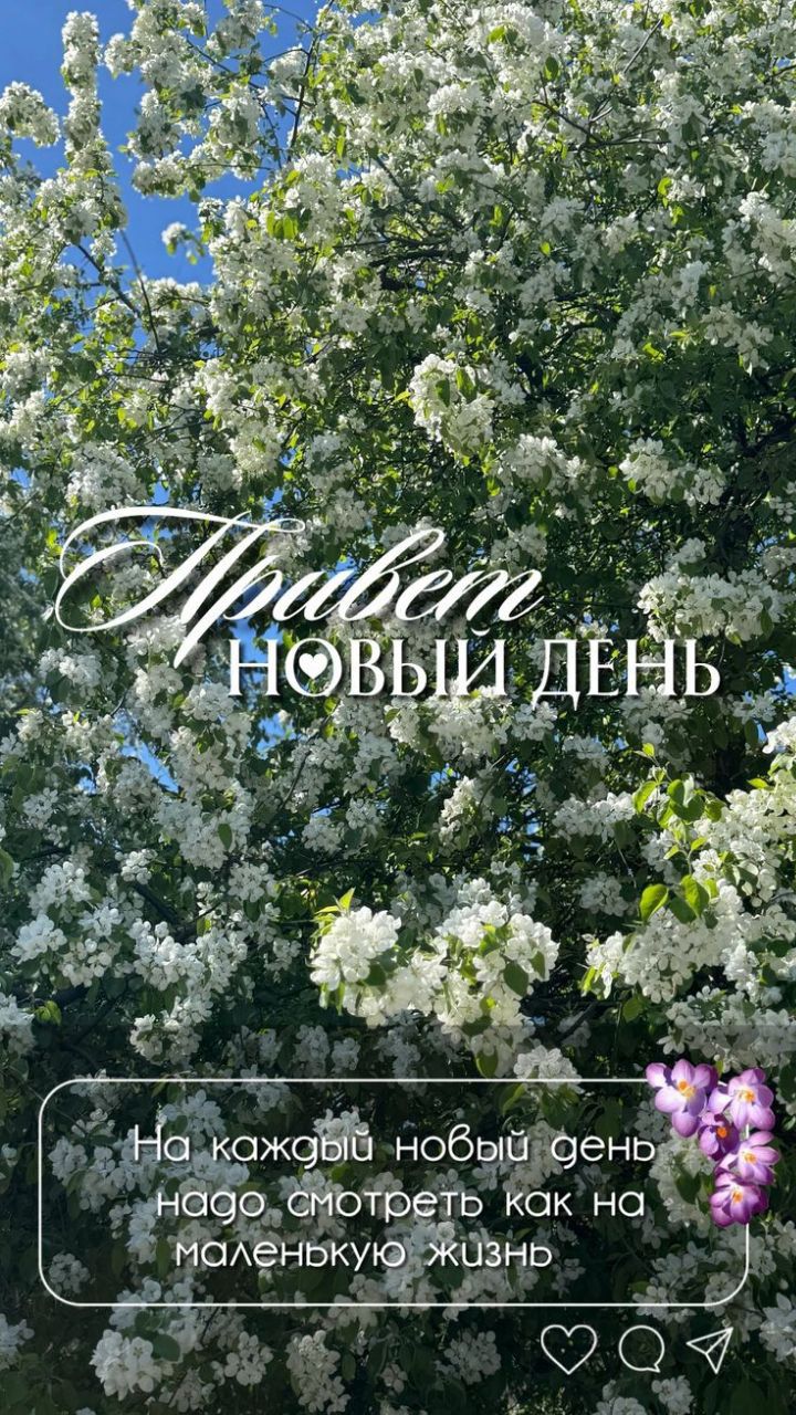Привет НОВЫЙ ДЕНЬ
На каждый новый день надо смотреть как на маленькую жизнь