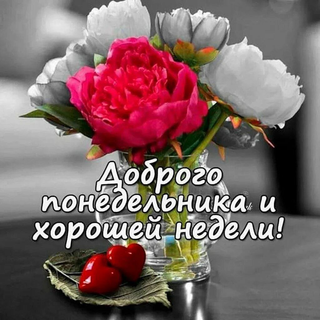 Доброго понедельника и хорошей недели!
