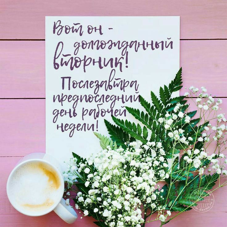 Вот он - долгожданный вторник! Последствия предстоящий день рабочей недели!