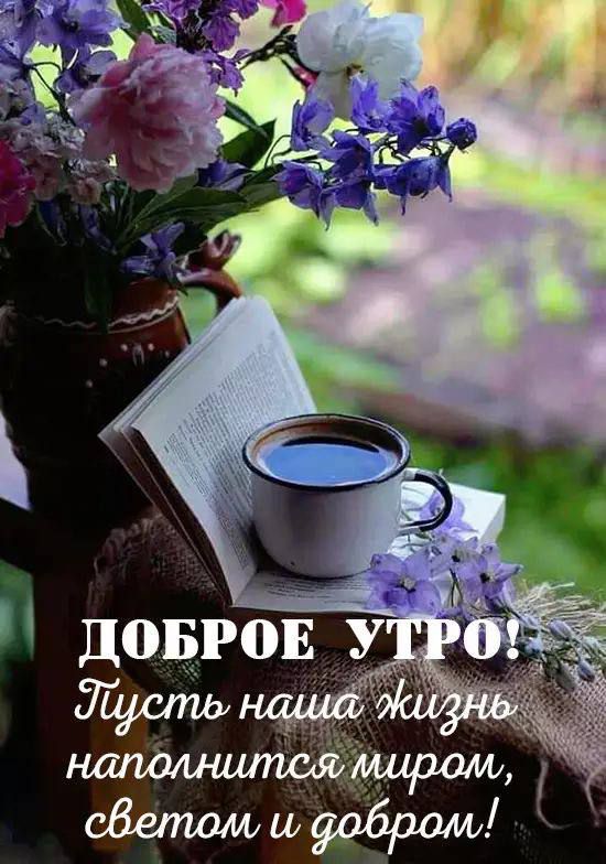 ДОБРОЕ УТРО! Пусть наша жизнь наполнится миром, светом и добром!