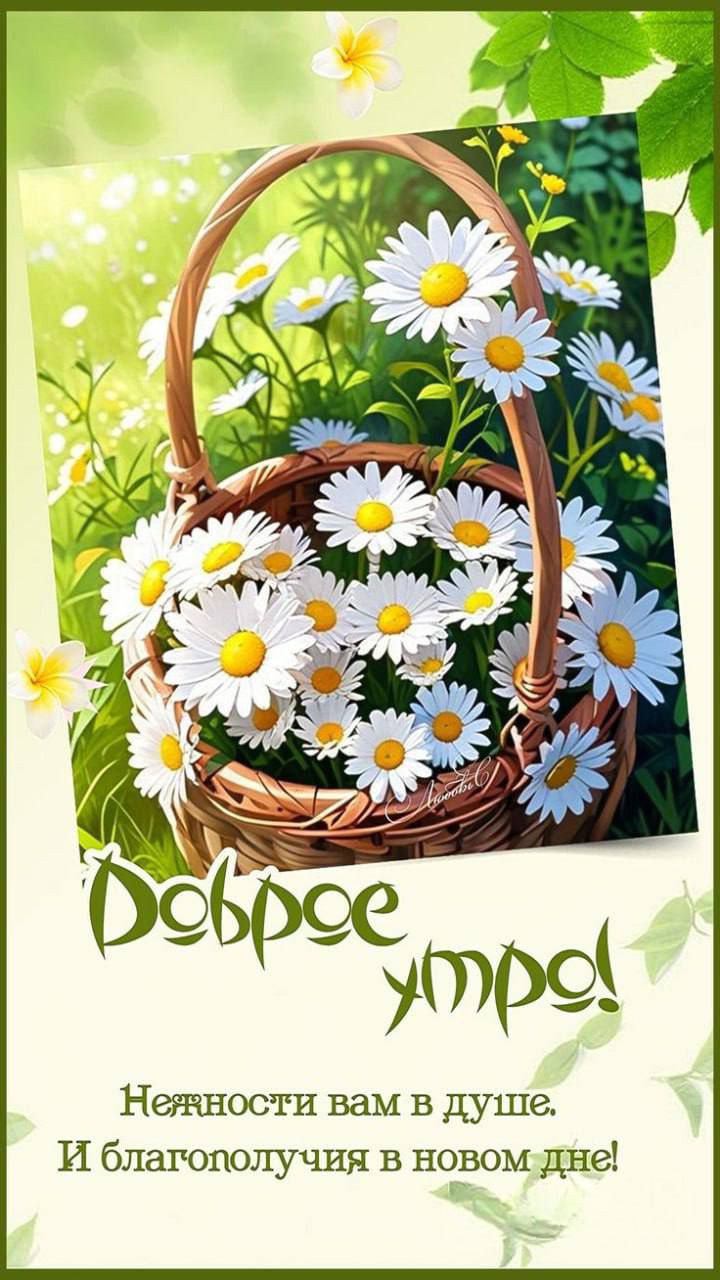 Доброе утро! Нежности вам в душе. И благополучия в новом дне!