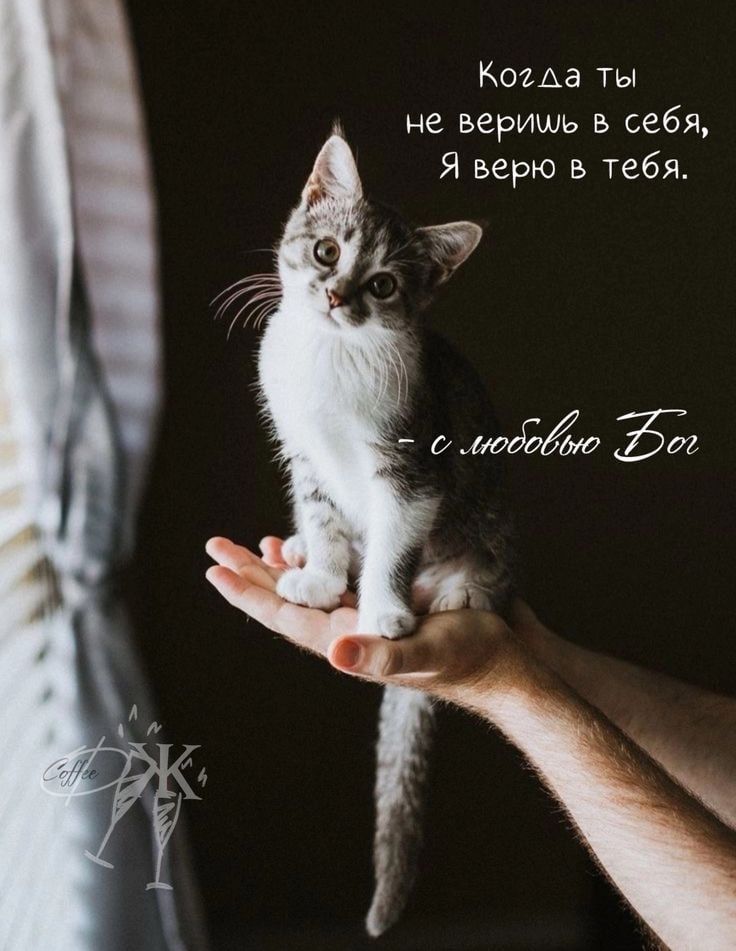 Когда ты не веришь в себя, Я верю в тебя.
-- с любовью Бог
