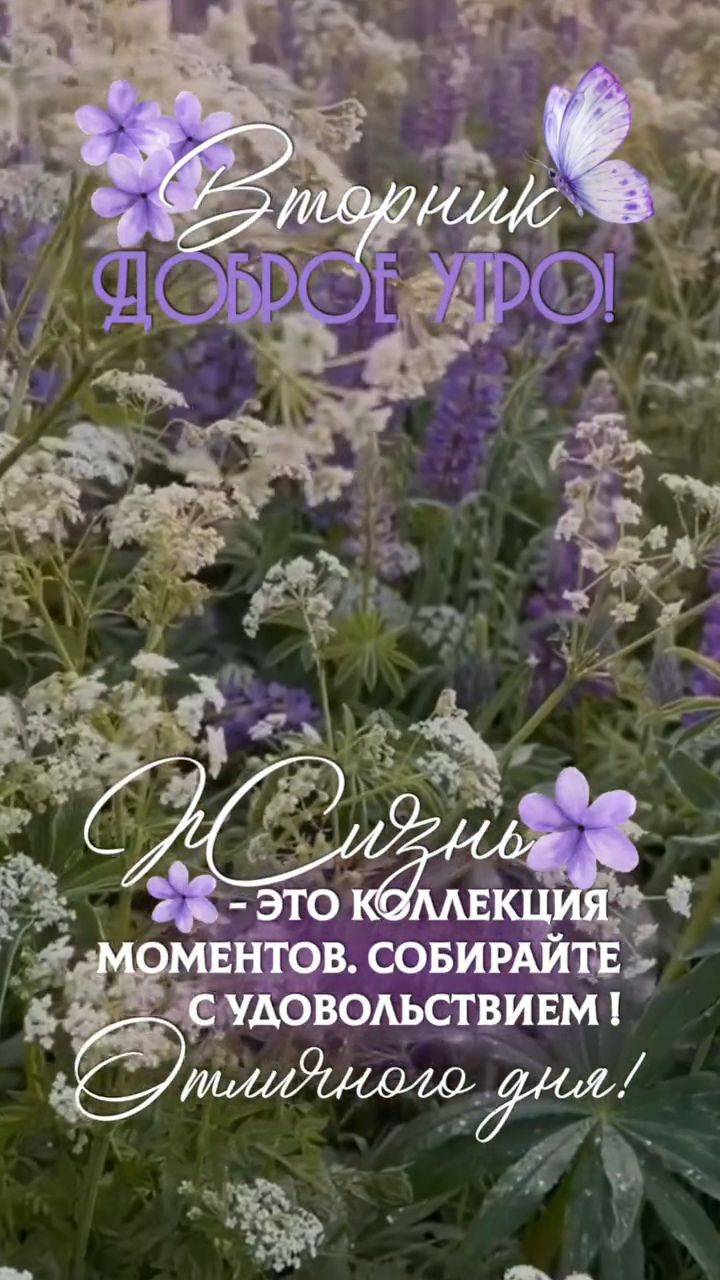 Вторник ДОБРОЕ УТРО! Жизнь - ЭТО КОЛЛЕКЦИЯ МОМЕНТОВ. СОБИРАЙТЕ С УДОВОЛЬСТВИЕМ! Отлиного дня!