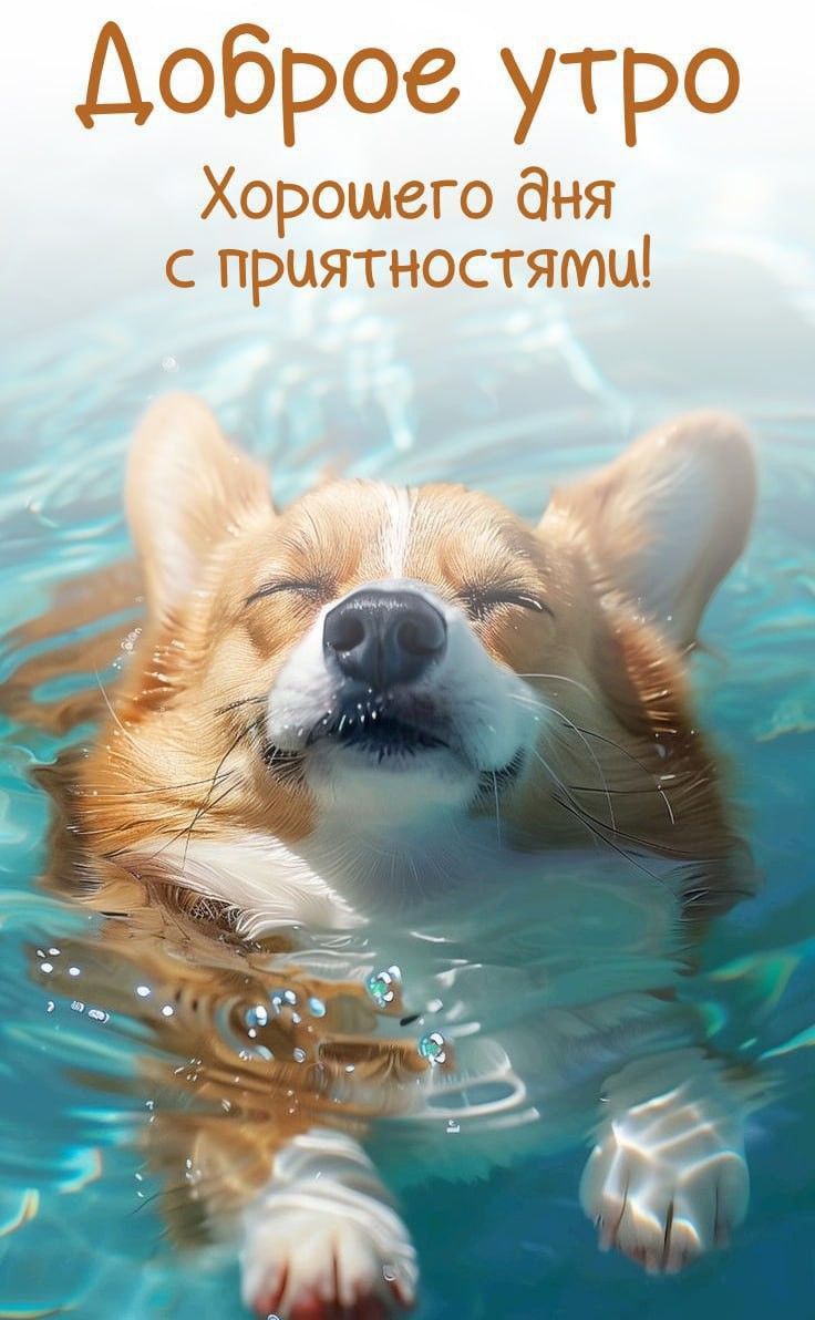 Доброе утро
Хорошего дня с приятностями!