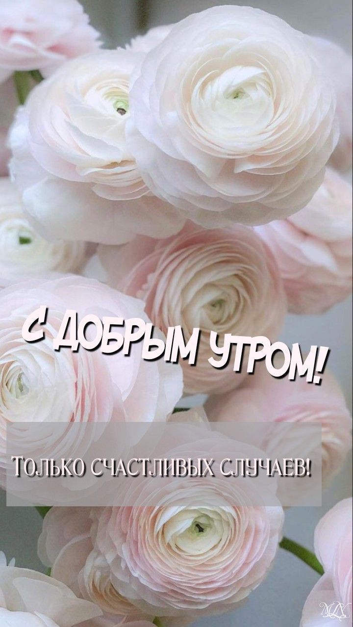 С ДОБРЫМ УТРОМ! ТОЛЬКО СЧАСТЛИВЫХ СЛУЧАЕВ!