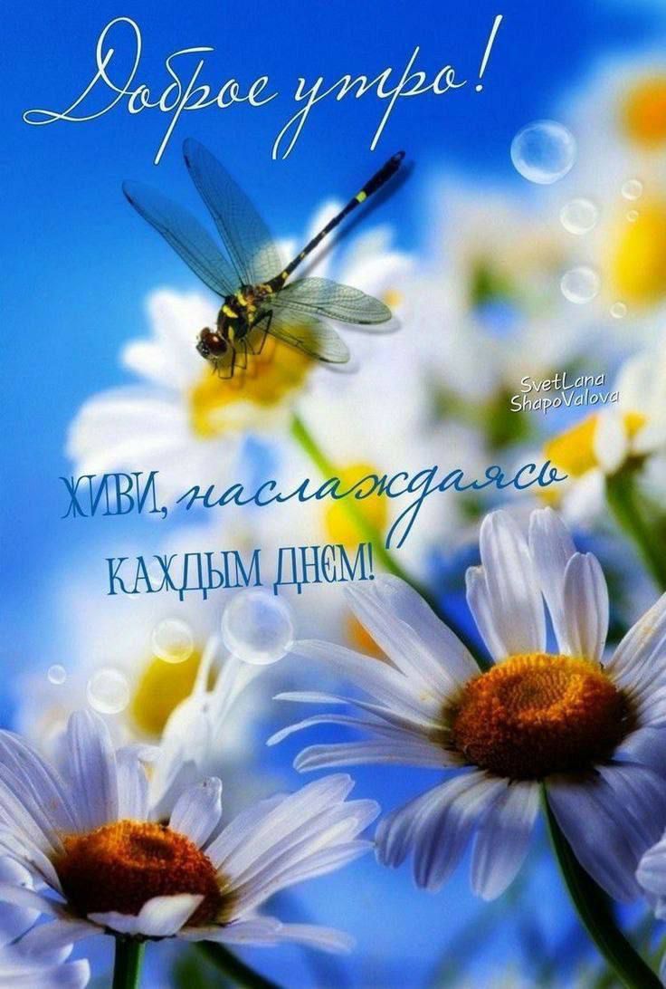Доброе утро! ЖИВИ, наслаждаясь КАЖДЫМ ДНЕМ!