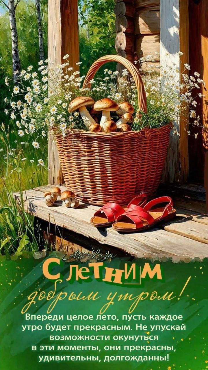 С летним добрым утром! Впереди целое лето, пусть каждое утро будет прекрасным. Не упускай возможности окунуться в эти моменты, они прекрасны, удивительны, долгожданны!