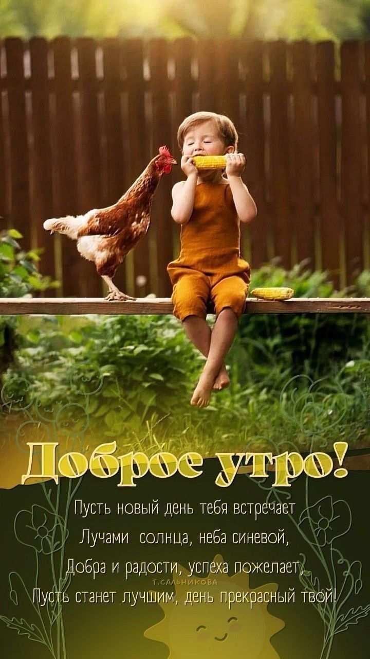 Доброе утро! Пусть новый день тебя встречает Лучами солнца, неба синевою, Добра и радости, успеха пожелает, Пусть станет лучшим, день прекрасный твой.