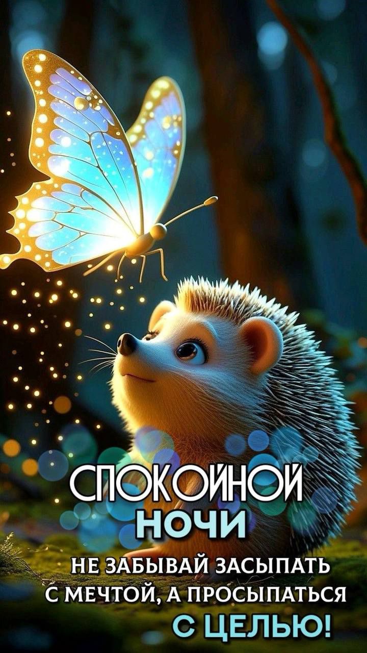 СПОКОЙНОЙ НОЧИ
НЕ ЗАБЫВАЙ ЗАСЫПАТЬ С МЕЧТОЙ, А ПРОСЫПАТЬСЯ С ЦЕЛЬЮ!