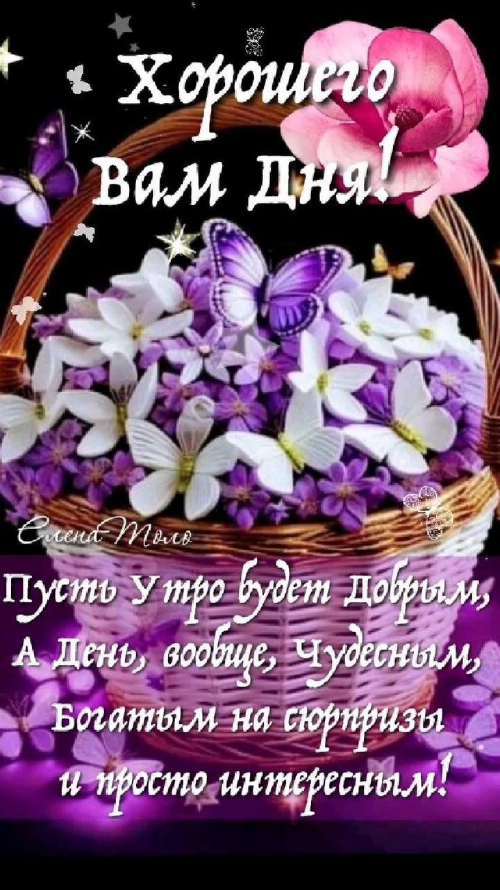 Хорошего вам Дня!
Пусть Утро будет Добрым,
А День, вообще, Чудесным,
Богатым на сюрпризы
и просто интересным!