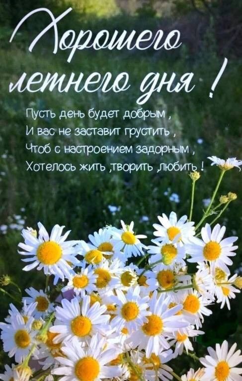 Хорошего летнего дня !
Пусть день будет добрым ,
И вас не заставит грустить ,
Чтоб с настроением задорным ,
Хотелось жить, творить любить !