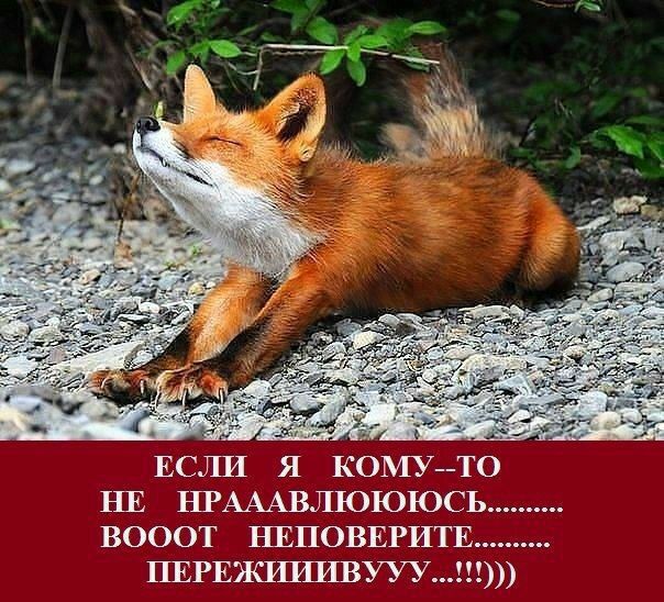 ЕСЛИ Я КОМУ-ТО НЕ НРААВЛЮСЬ......... ВООТ НЕПОВЕРИТЕ.......... ПЕРЕЖИВУУУ...!!!)))