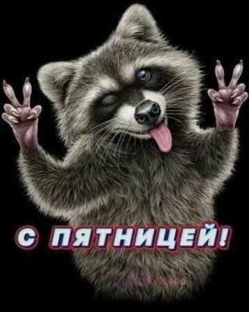 С ПЯТНИЦЕЙ!