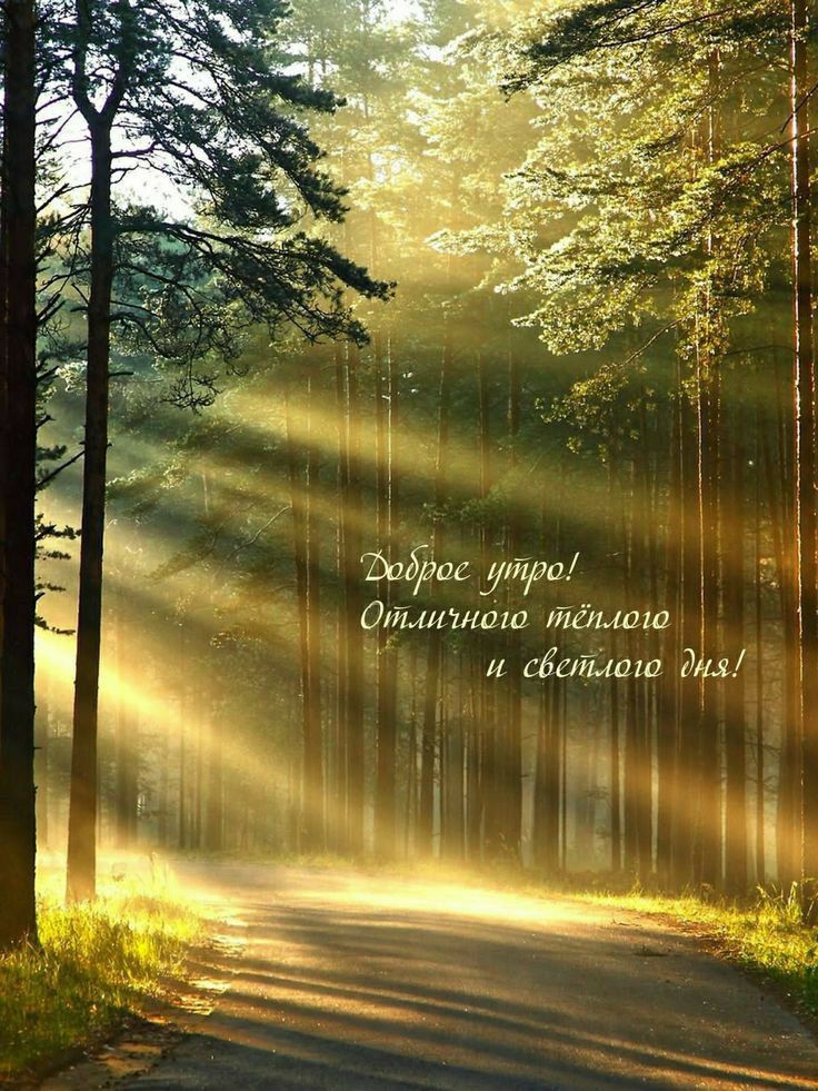 Доброе утро! Отличного тёплого и светлого дня!