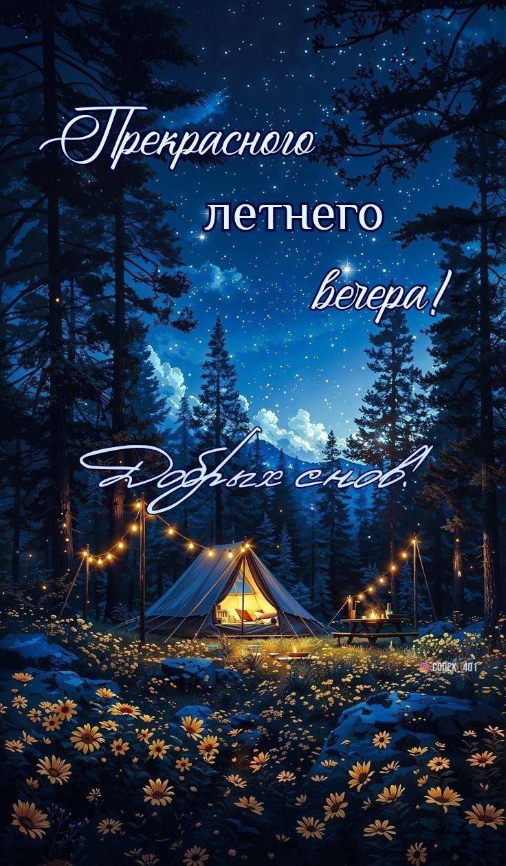 Прекрасного летнего вечера! Добрых снов!
