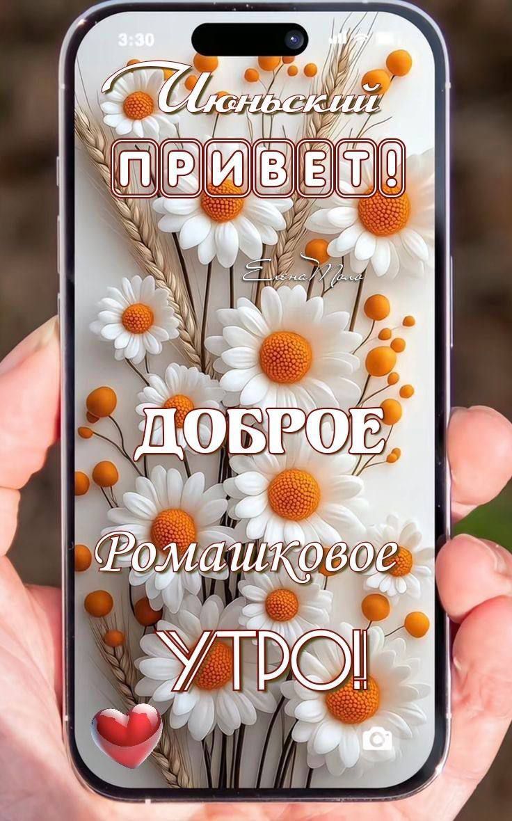Июнский ПРИВЕТ! ДОБРОЕ Ромашковое УТРО!