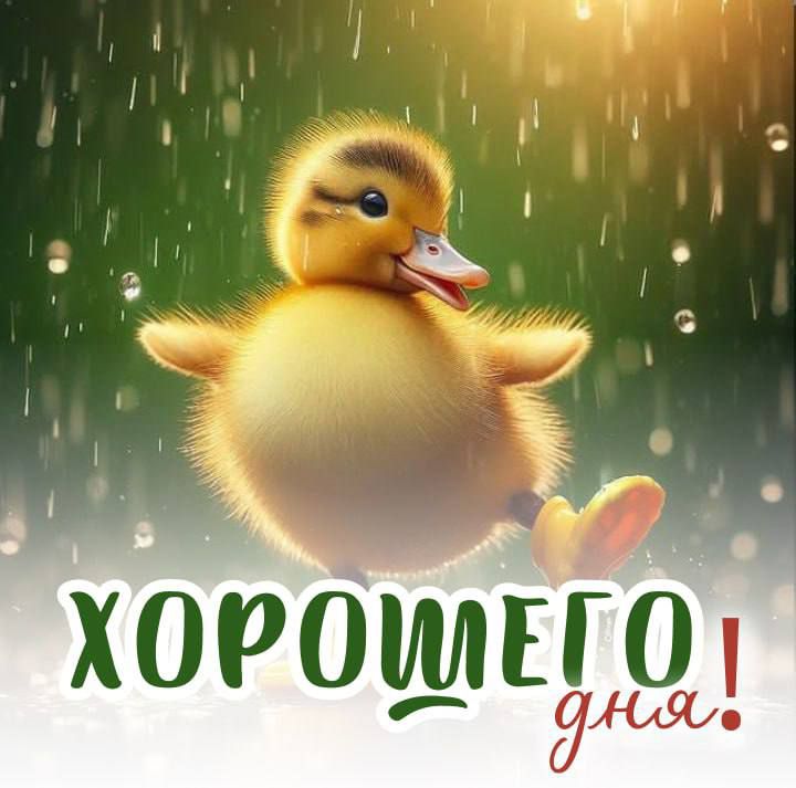 ХОРОШЕГО ДНЯ!