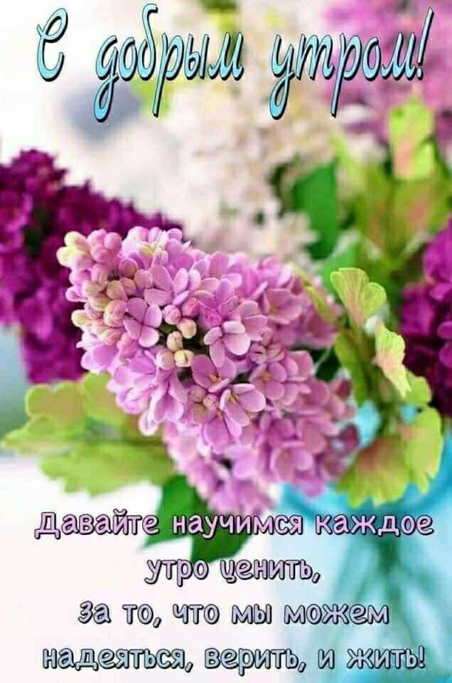 С добрым утром!
Давайте научимся каждое утро ценить,
за то, что мы можем надеяться, верить, и жить!