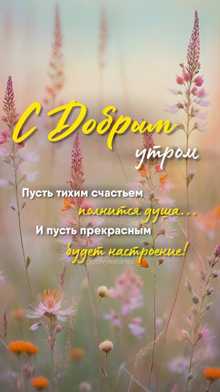 С Добрым утром
Пусть тихим счастьем
полнится душа...
И пусть прекрасным
будет настроение!