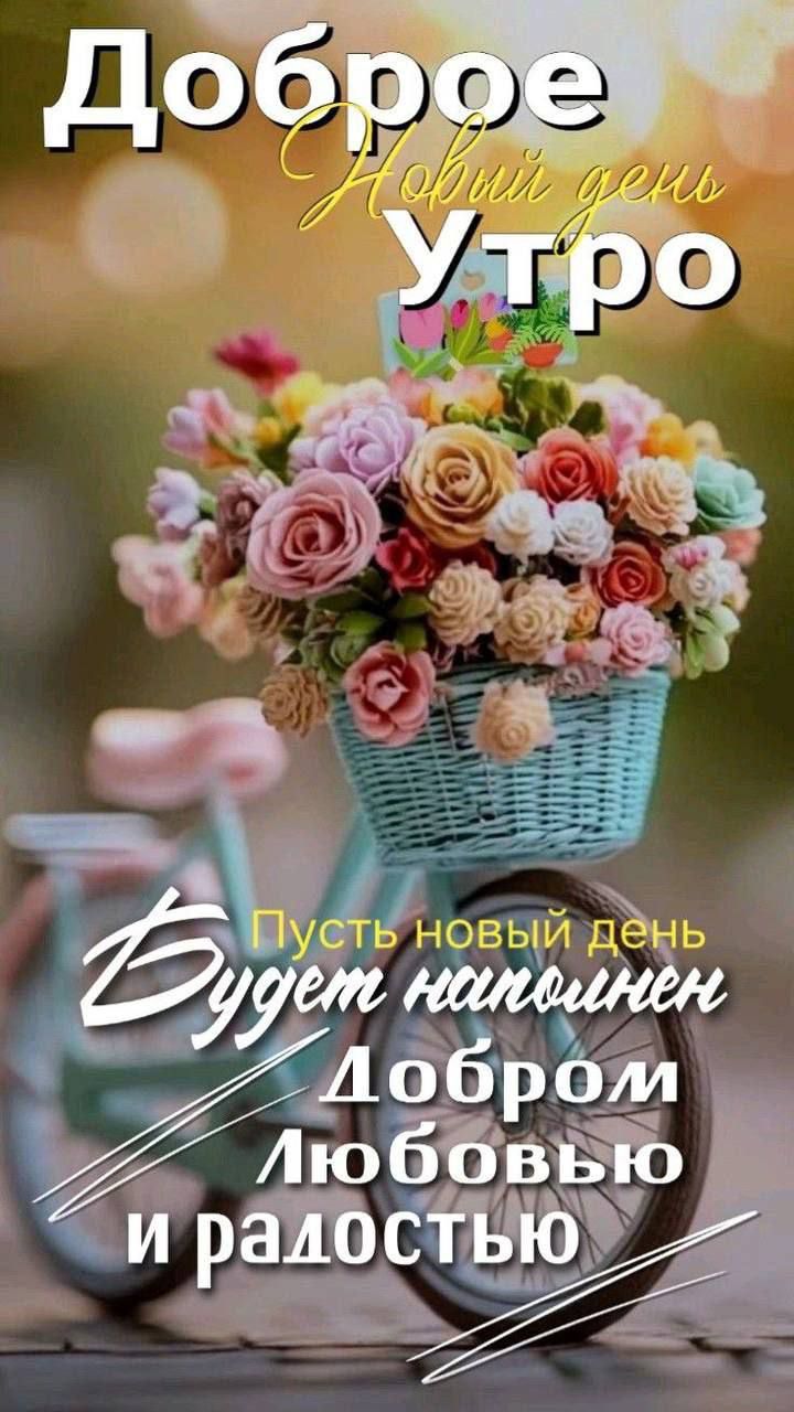 Доброе утро
Новый день
Пусть новый день
Будет наполнен
Добром
Любовью
и радостью