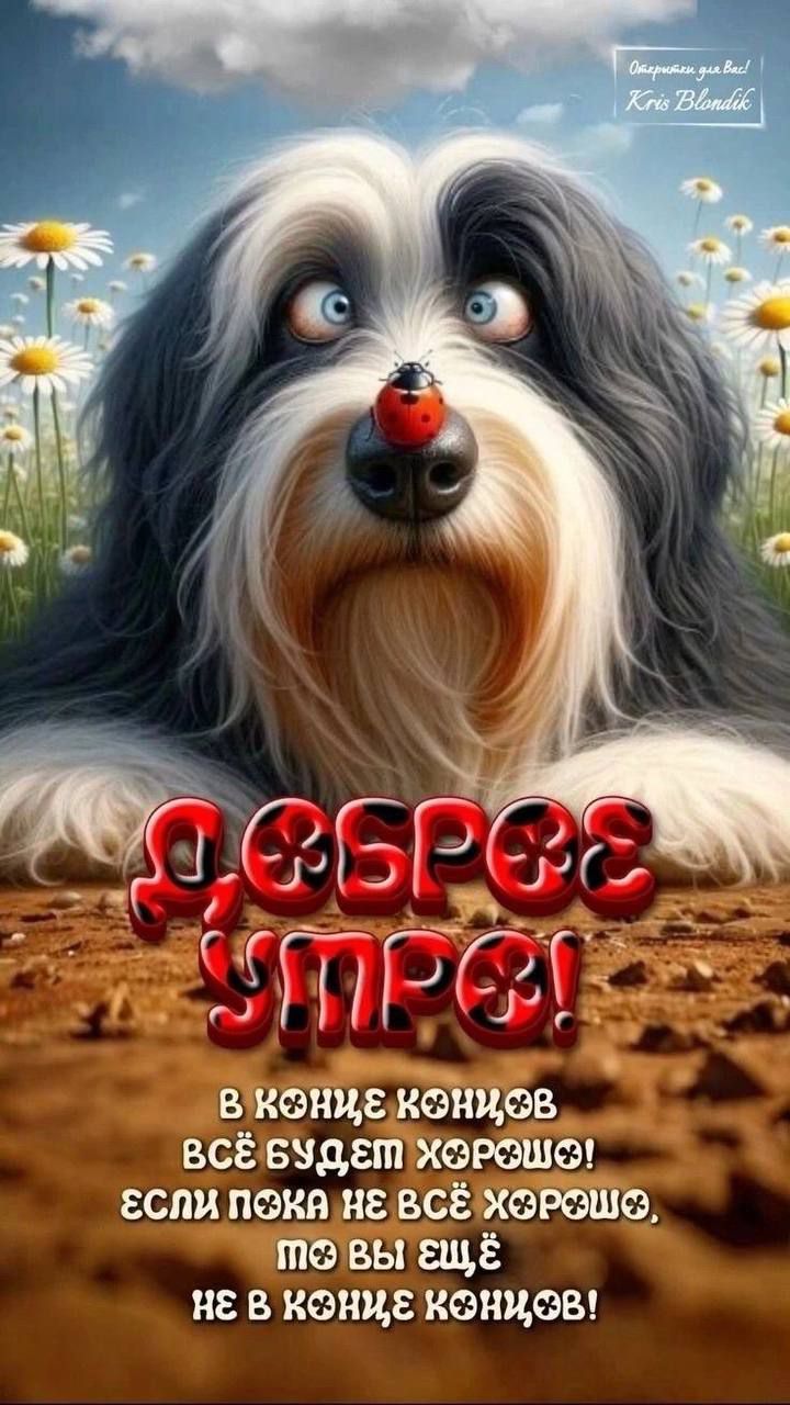 ДОБРОЕ УТРО!
В КОНЦЕ КОНЦОВ ВСЁ БУДЕТ ХОРОШО! ЕСЛИ ПОКА НЕ ВСЁ ХОРОШО, ТО ВЫ ЕЩЁ НЕ В КОНЦЕ КОНЦОВ!