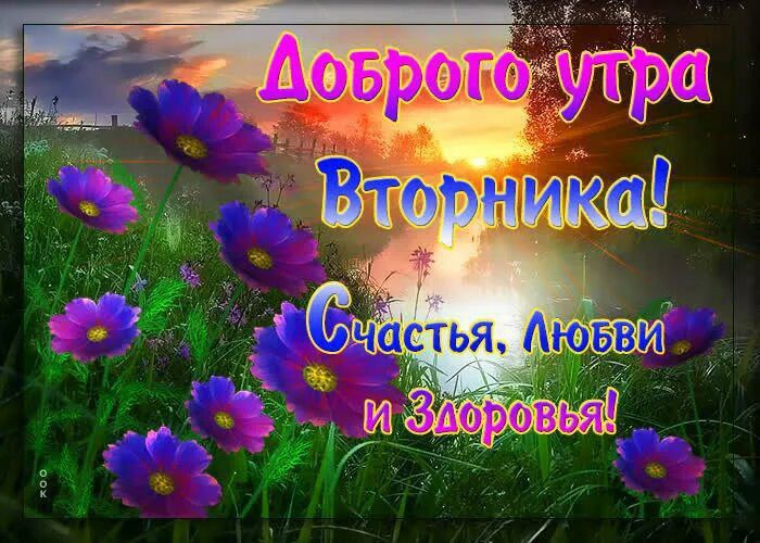 Доброго утра Вторника! Счастья, любви и Здоровья!