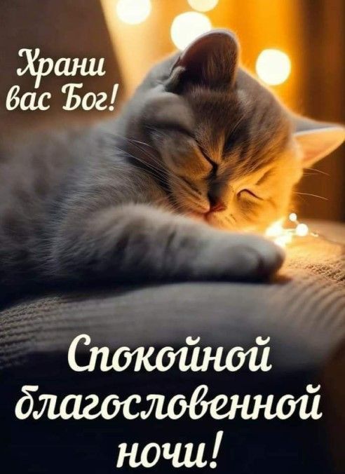 Храни вас Бог! Спокойной благословенной ночи!
