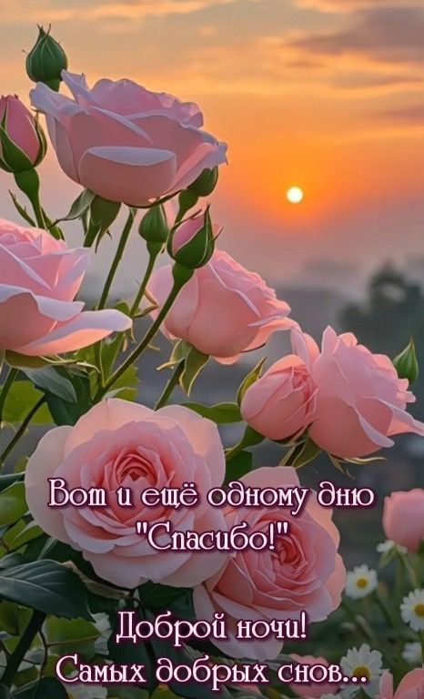Вот и ещё одному дню 