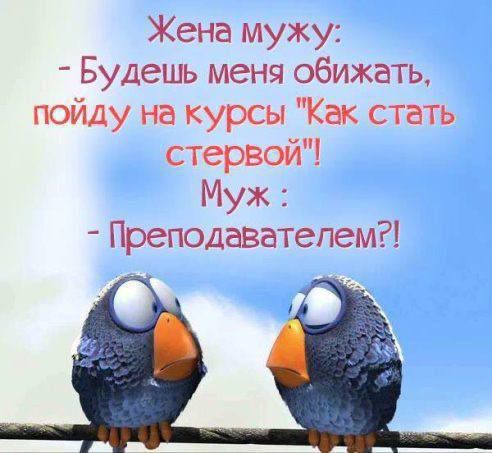 Жена мужу:
- Будешь меня обижать, пойду на курсы 