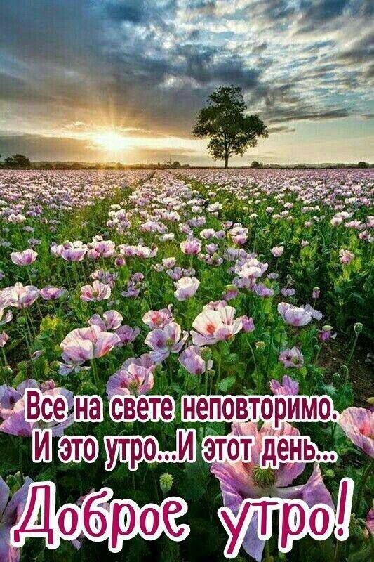 Все на свете неповторимо. И это утро... И этот день... Доброе утро!