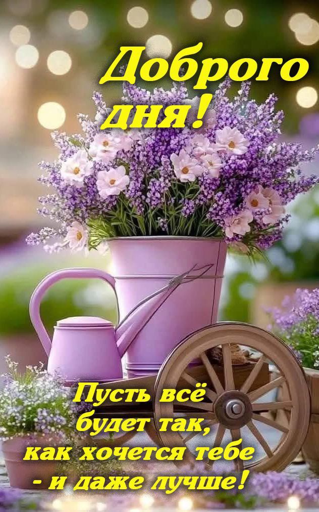 Доброго дня! Пусть всё будет так, как хочется тебе - и даже лучше!