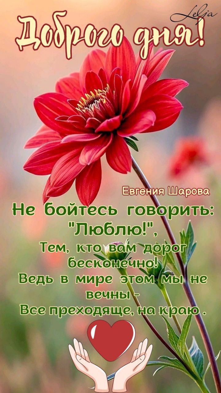 Доброе утро!
Не бойтесь говорить: 