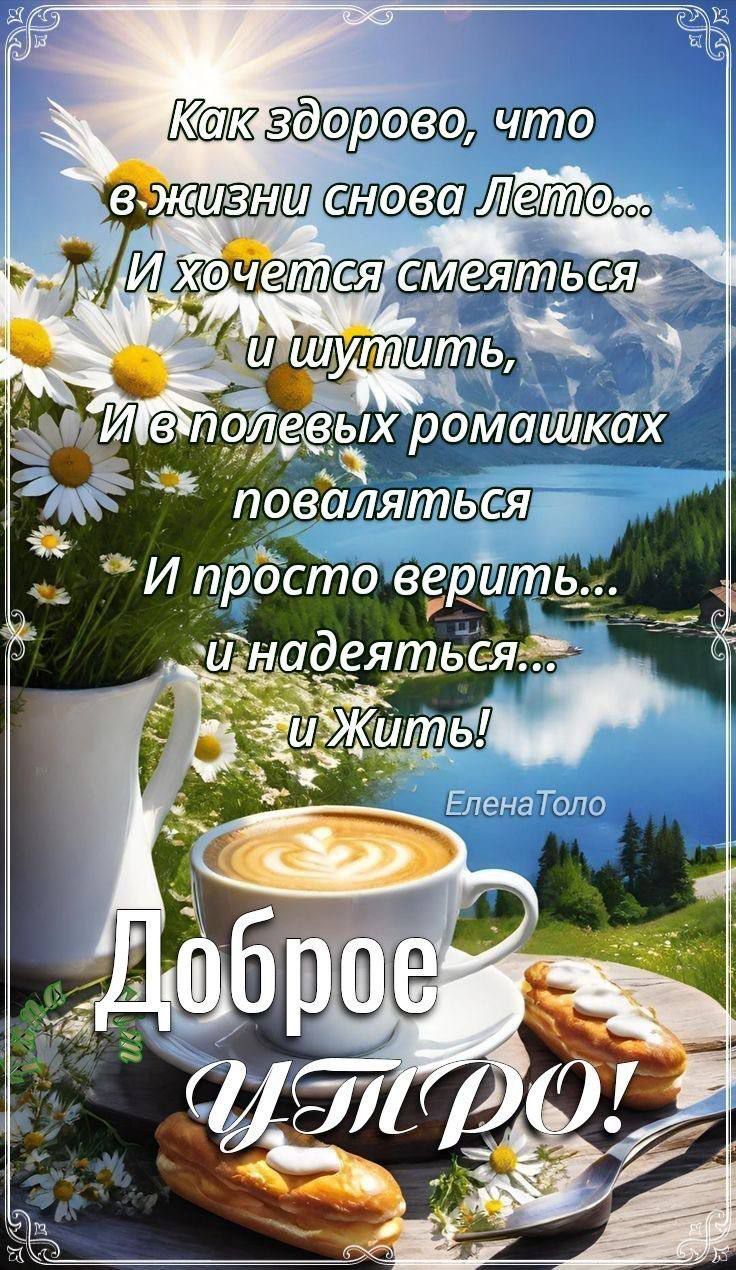 Как здорово, что в жизни снова Лето... И хочется смеяться и шутить, И в полевых ромашках поваляться И просто верить... и надеяться... и Жить!
Доброе УТРО!