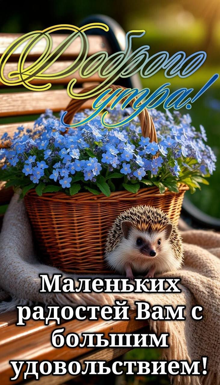 Доброе утро! Маленьких радостей Вам с большим удовольствием!