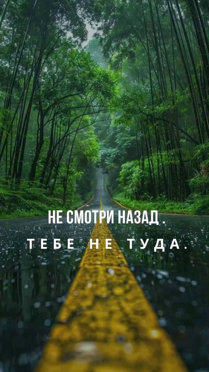 НЕ СМОТРИ НАЗАД.
ТЕБЕ НЕ ТУДА.