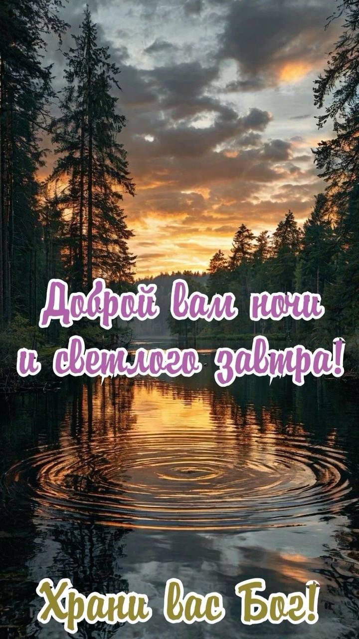 Доброй вам ночи и светлого завтра! Храни вас Бог!