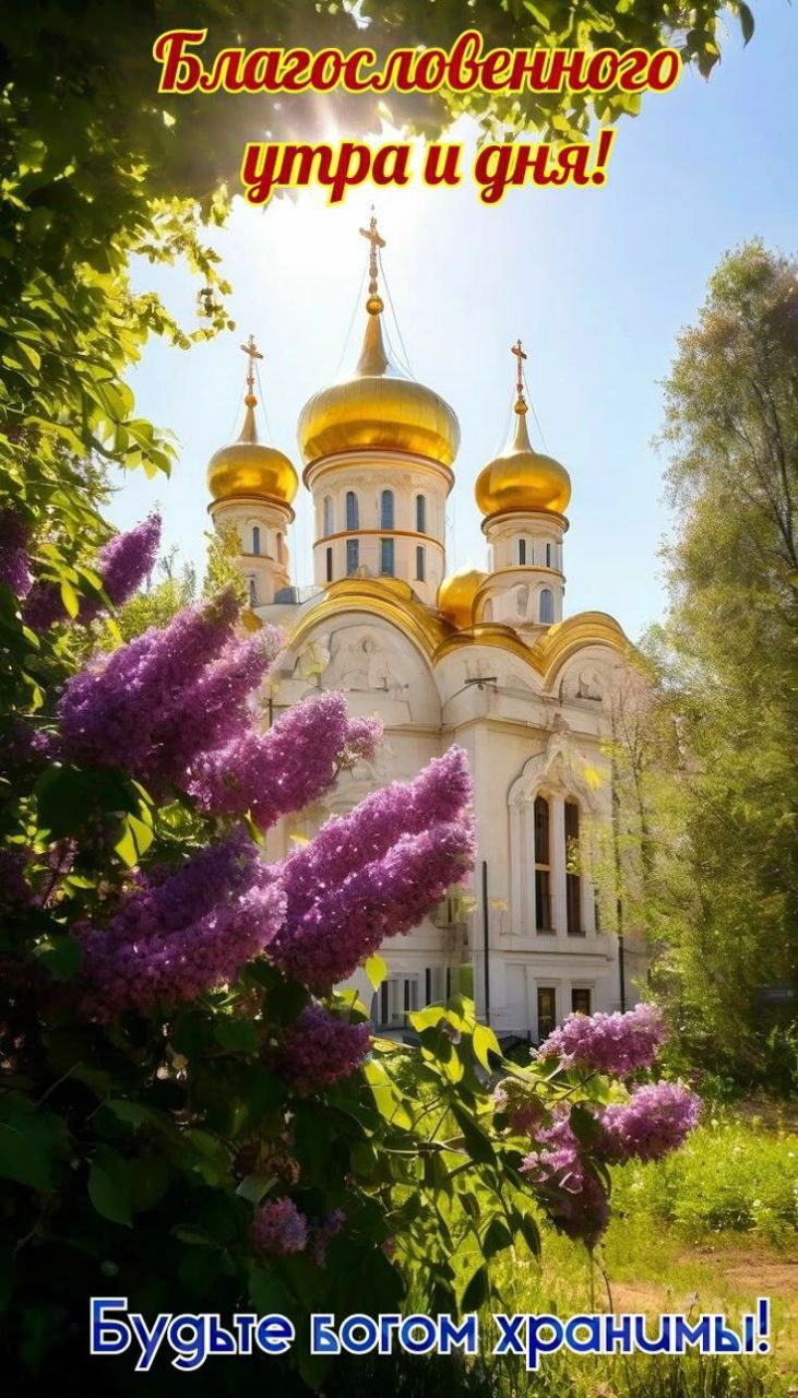 Благословенного утра и дня! Будьте богом хранимы!