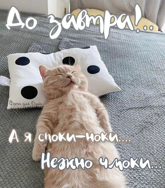 До завтра!... А я споки-ночи.... Нежно чмоки...