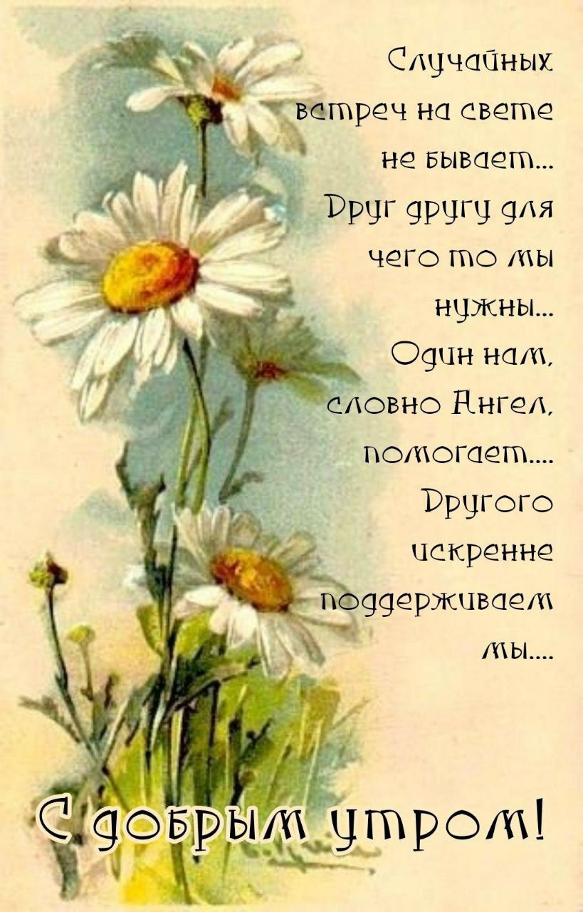 Случайных встреч на свете не бывает... Друг другу для чего-то мы нужны... Один нам, словно Ангел, помогает.... Другого искренне поддерживаем мы.... С добрым утром!