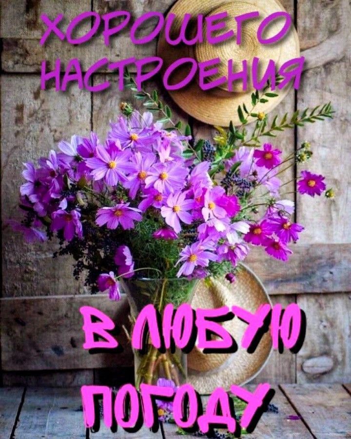 ХОРОШЕГО НАСТРОЕНИЯ
В ЛЮБУЮ ПОГОДУ