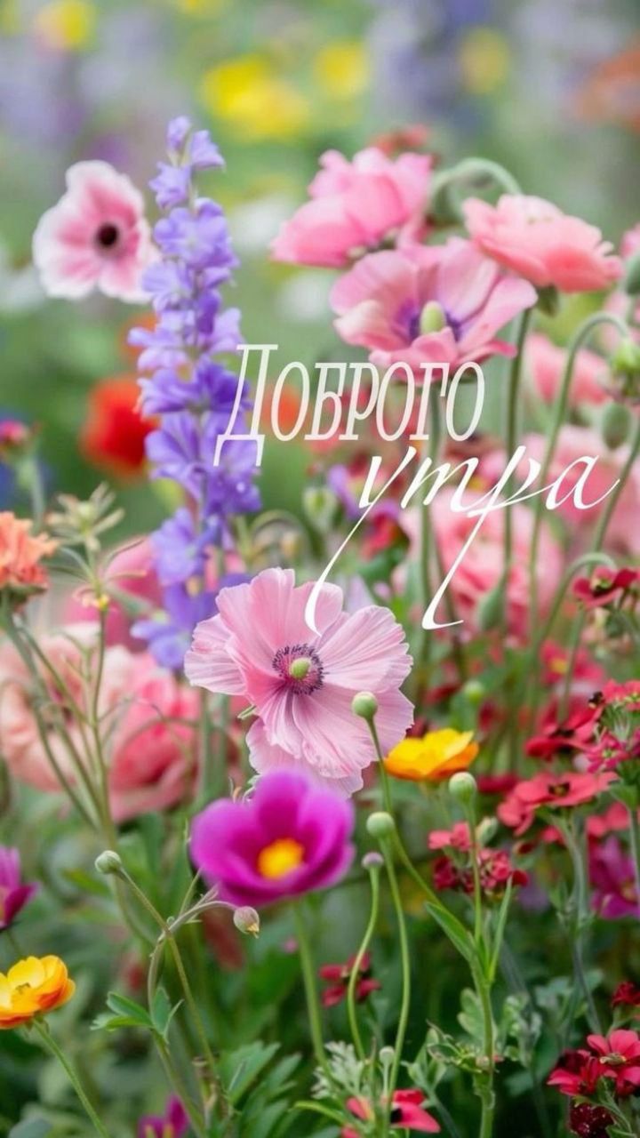 Доброе утро