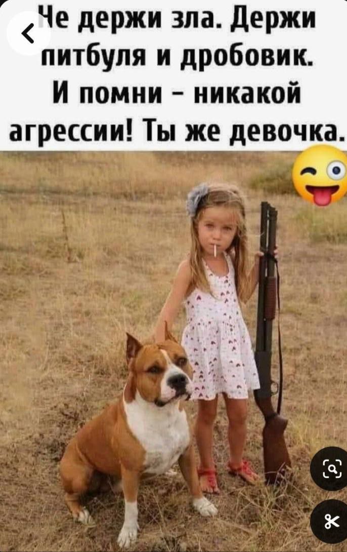 Че держи зла. Держи питбулю и дробовик. И помни – никакой агрессии! Ты же девочка.
