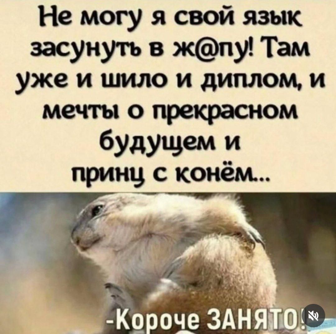 Не могу я свой язык засунуть в ж@пу! Там уже и шило и диплом, и мечты о прекрасном будущем и принц с конём...

-Короче ЗАНЯТО!