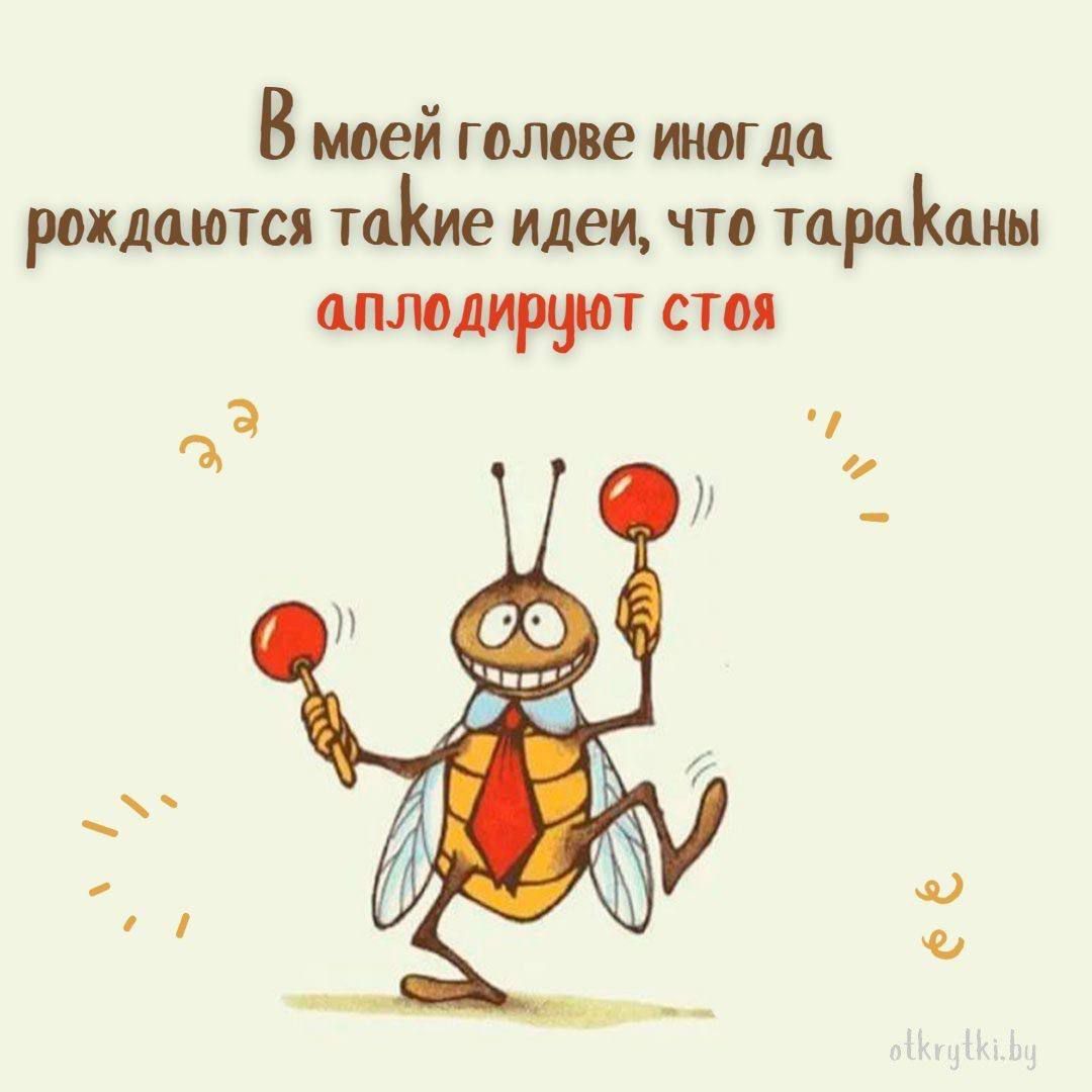 В моей голове иногда рождаются такие идеи, что тараканы аплодируют стоя