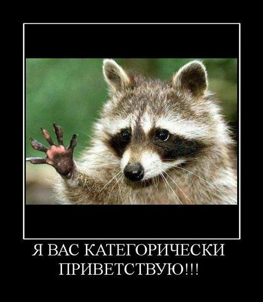 Я ВАС КАТЕГОРИЧЕСКИ ПРИВЕТСТВУЮ!!!