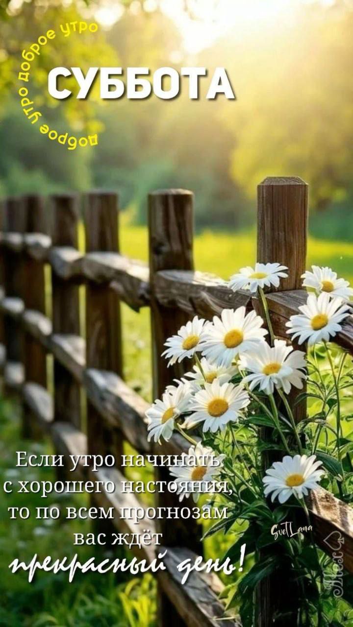 Доброе утро! Суббота. Если утро начинать с хорошего настроения, то по всем прогнозам вас ждет прекрасный день!